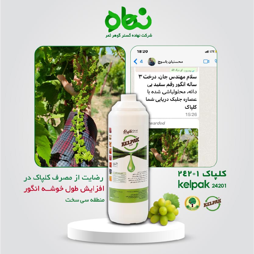 Customer satisfaction with the use of Kelpak in increasing the length of grape clusters